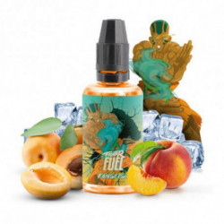 Concentré Kansetsu 30ml -...