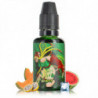 Concentré Shaken 30ml - Fighter Fuel by Maison Fuel